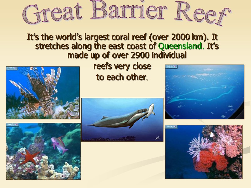 It’s the world’s largest coral reef (over 2000 km). It stretches along the east